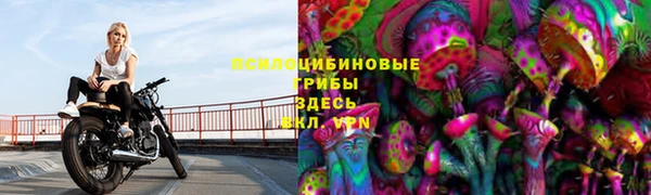 мет Дмитриев