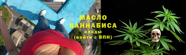 мет Дмитриев