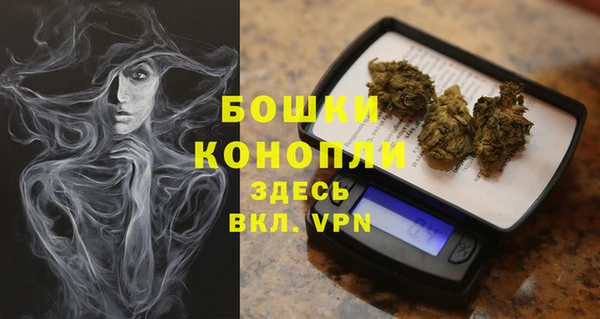 мет Дмитриев