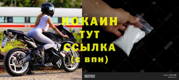 мет Дмитриев
