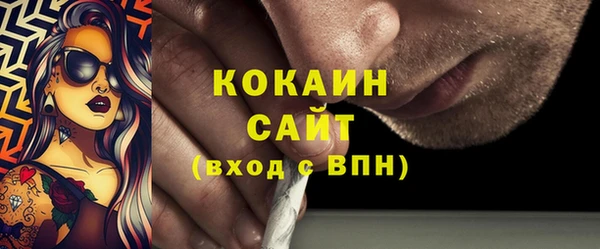 мет Дмитриев