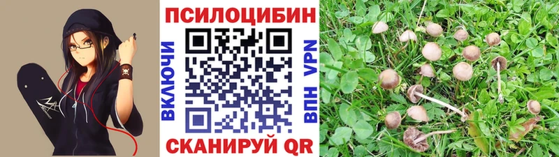 Псилоцибиновые грибы Psilocybe  Купить  Конаково 